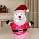 outdoor christmas lighted  decorations