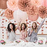 valentine'day Rose Gold Party Decorations