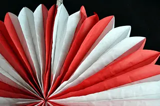 Tissue Paper Fan