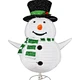 outdoor christmas lighted  decorations