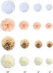 party decoration tissue paper decoration