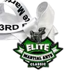 MANUFACTURER CUSTOM MARTIAL ARTS MEDAL WITH RIBBON