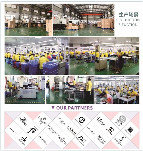 company introduce2