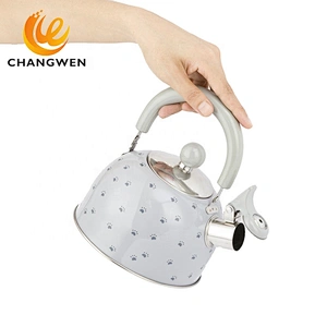 2L  Whistling Kettle Tea Pot Stovetop Induction Stainless Steel Water Kettle With Color Paint