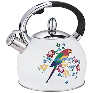 High quality funky Stainless Steel 201 colorful kettle Tea Pot for all stoves Water Transfer
