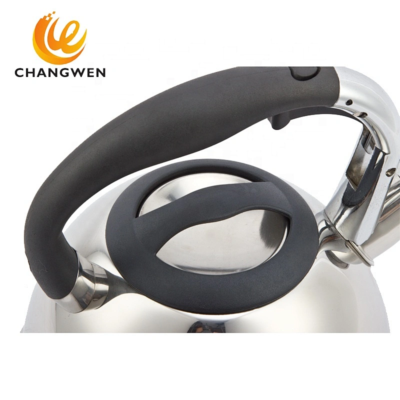 High Quality Stainless Steel Water Kettle With Color Paint Competitive Price Kitchen Appliances