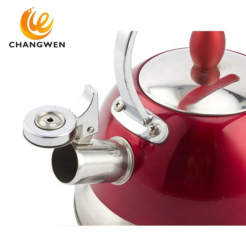 Portable Whistling Kettle Stainless Steel Hot Water Kettle Tea Kettle