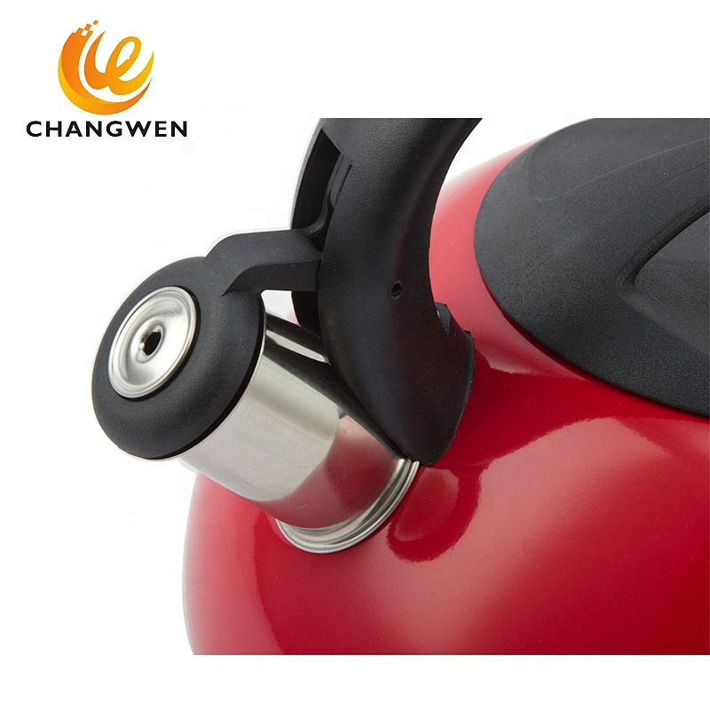 Stainless Steel Cookware Whistling Tea Kettle With Colorful Painting
