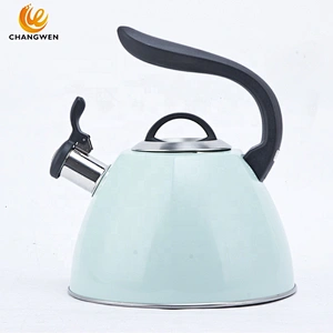Guangdong kettle supplier induction gas kettle stainless steel hot water kettle