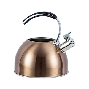 High-temperature paint water kettle stainless steel teapot hot water kettle whistle tea kettle
