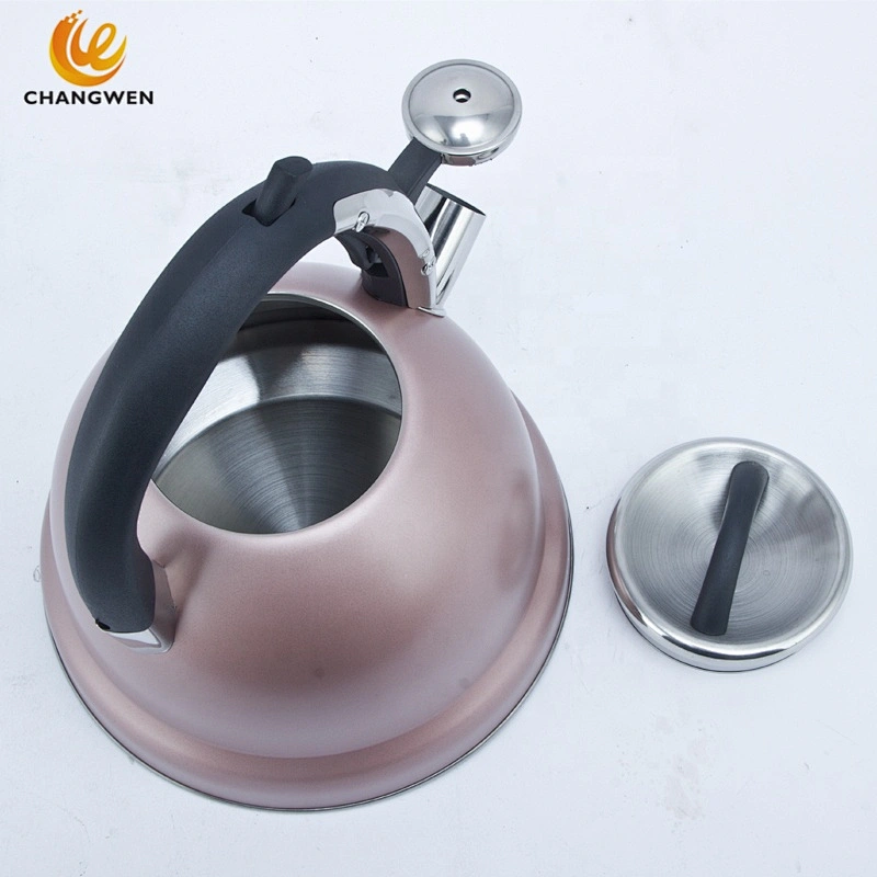 Induction Cooker Whistling Kettle Coffee Tea Pot Stovetop Induction Stainless Steel Water Kettle