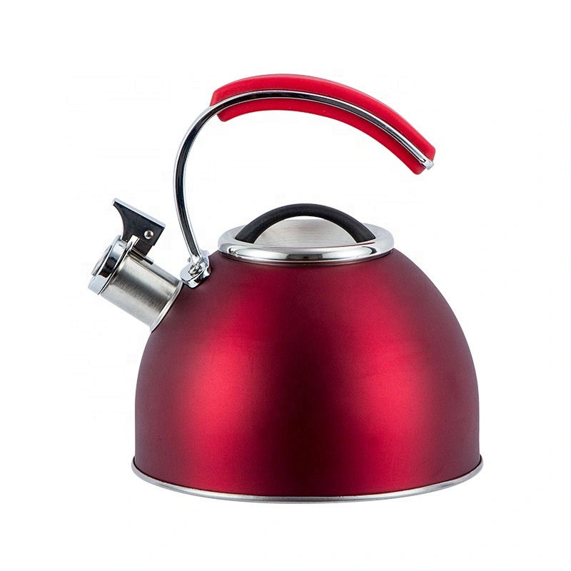 High-temperature paint water kettle stainless steel teapot hot water kettle whistle tea kettle