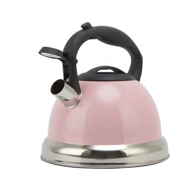 3.0L stainless steel whistle water kettle stainless steel with induction bottom