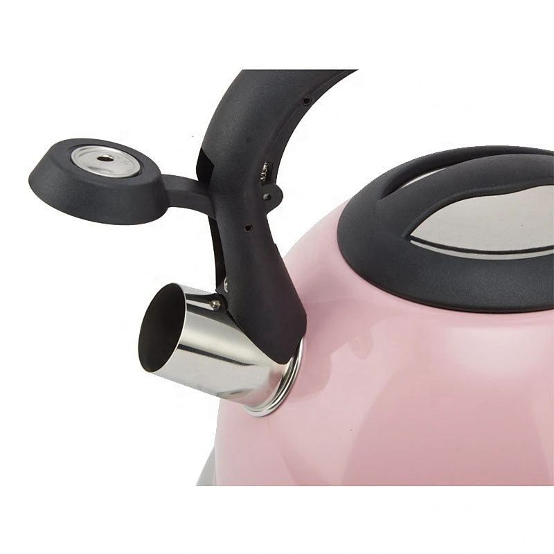 3.0L stainless steel whistle water kettle stainless steel with induction bottom