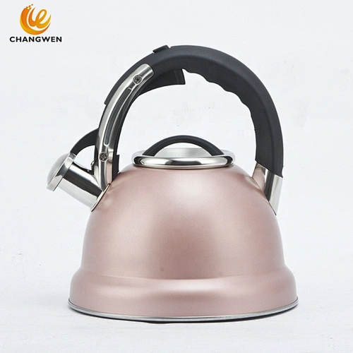 Induction Cooker Whistling Kettle Coffee Tea Pot Stovetop Induction Stainless Steel Water Kettle