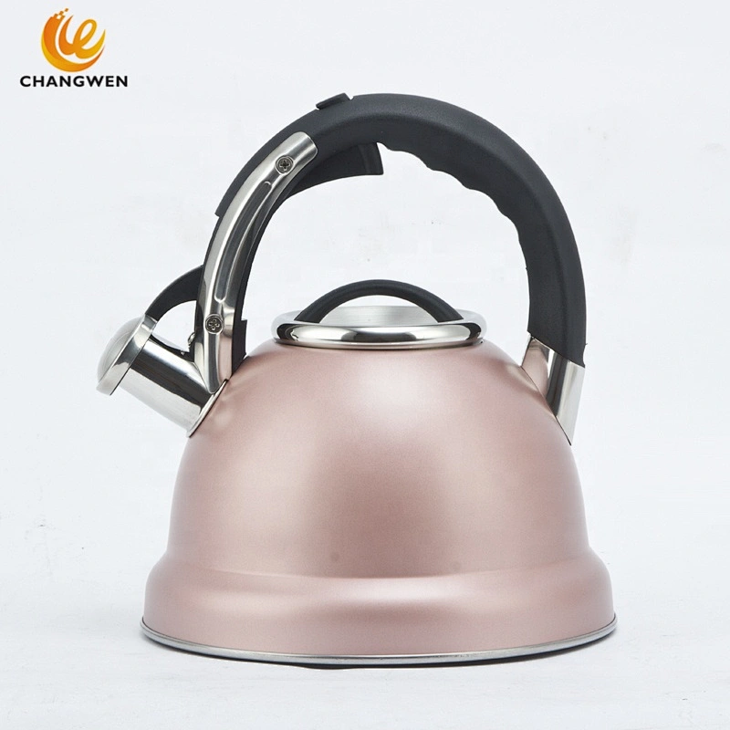 Induction Cooker Whistling Kettle Coffee Tea Pot Stovetop Induction Stainless Steel Water Kettle