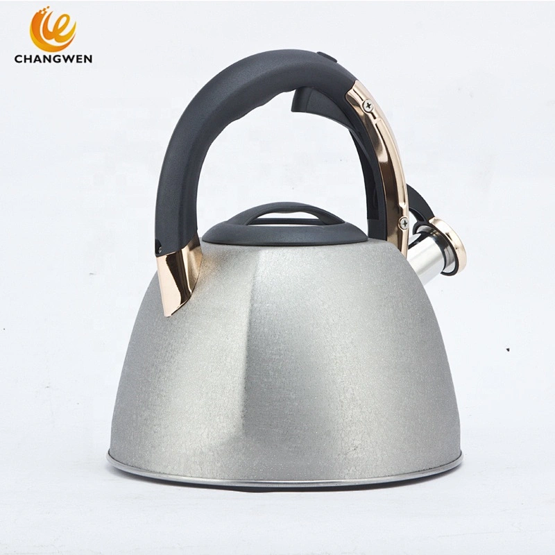 color painted whistling kettle kitchenware whistle kettle stainless steel whistling water kettle