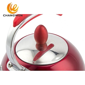 Portable Whistling Kettle Stainless Steel Hot Water Kettle Tea Kettle