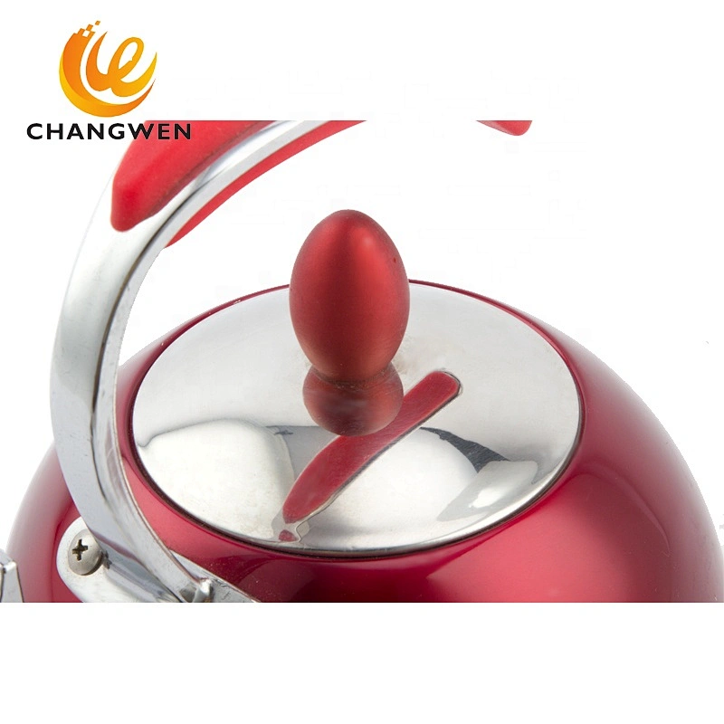 Portable Whistling Kettle Stainless Steel Hot Water Kettle Tea Kettle
