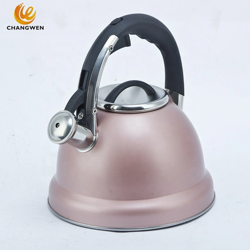 Induction Cooker Whistling Kettle Coffee Tea Pot Stovetop Induction Stainless Steel Water Kettle