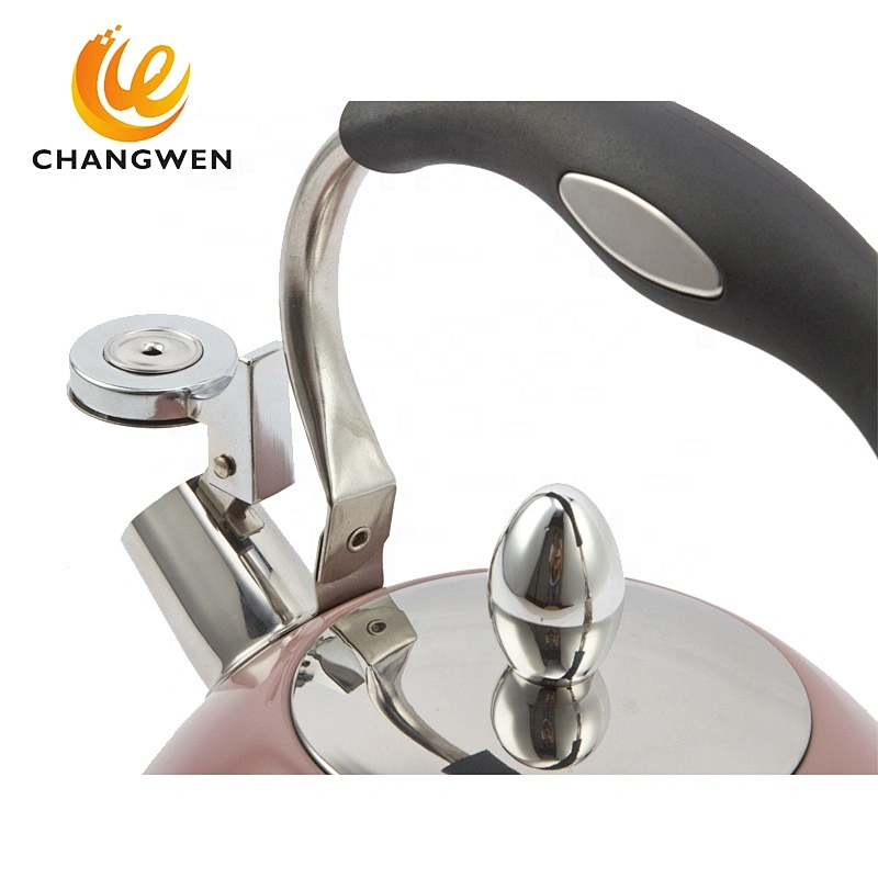 Stainless Steel 3L Water Kettle Induction Cooker Camping Kettles Stove Whistling Water Gas Teapot Cooking Tools Kitchen