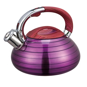 Stainless Steel Classic Tea Kettle Teapot Wholesale  Kitchen Appliances for ALL Stovetops