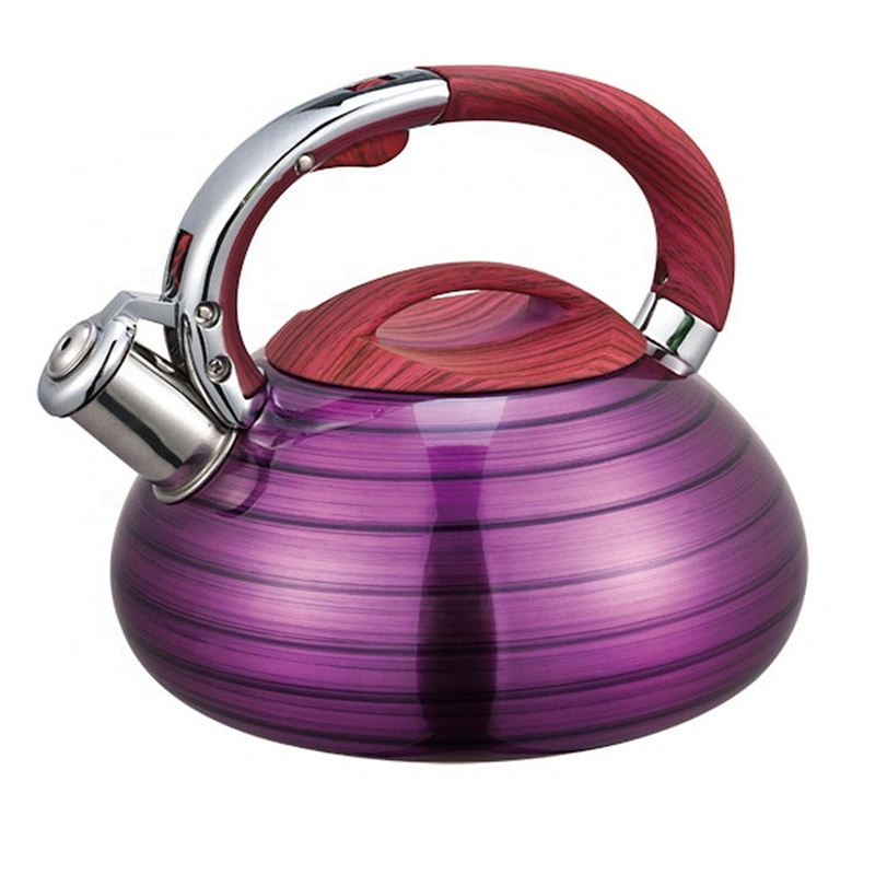 Stainless Steel Classic Tea Kettle Teapot Wholesale  Kitchen Appliances for ALL Stovetops