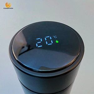 LED Temperature Display Double Wall Vacuum Flasks Thermal Bottle 304 Stainless Steel Smart Water Bottle