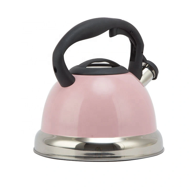 3.0L stainless steel whistle water kettle stainless steel with induction bottom