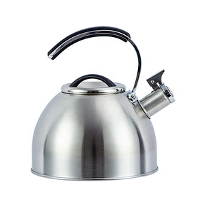 High-temperature paint water kettle stainless steel teapot hot water kettle whistle tea kettle