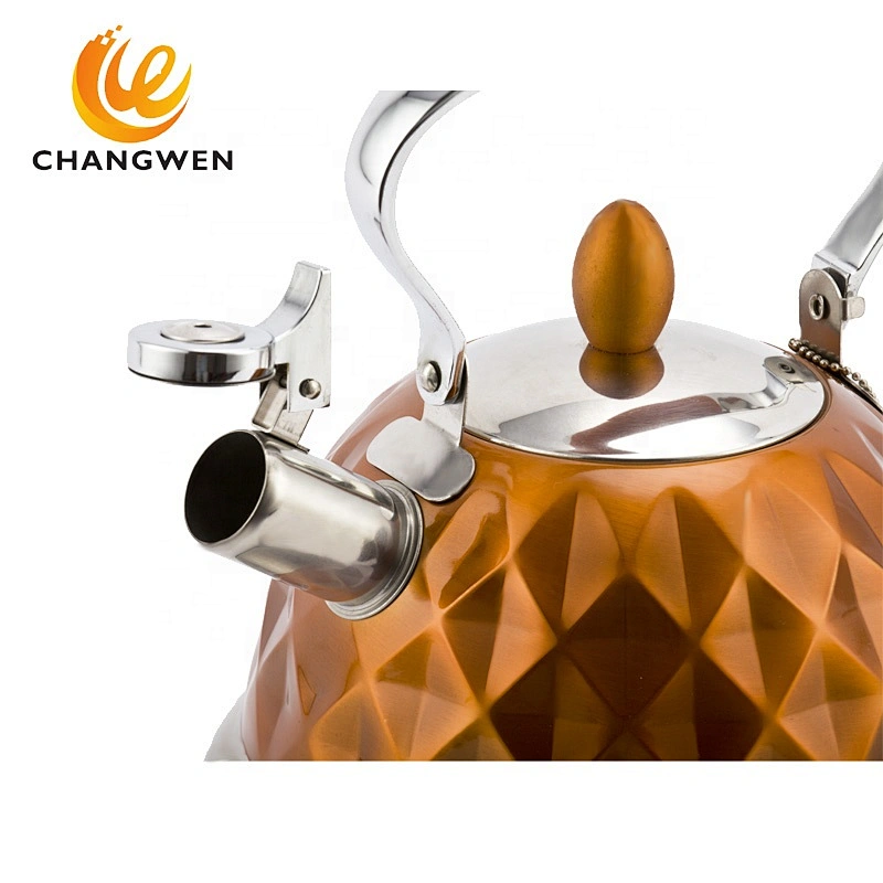 Water Kettle Whistling Stainless Steel Chaleira Whistling Tea Bottle Kettle For Gas Stove Bouilloire Kitchen Water Coffee Heat B