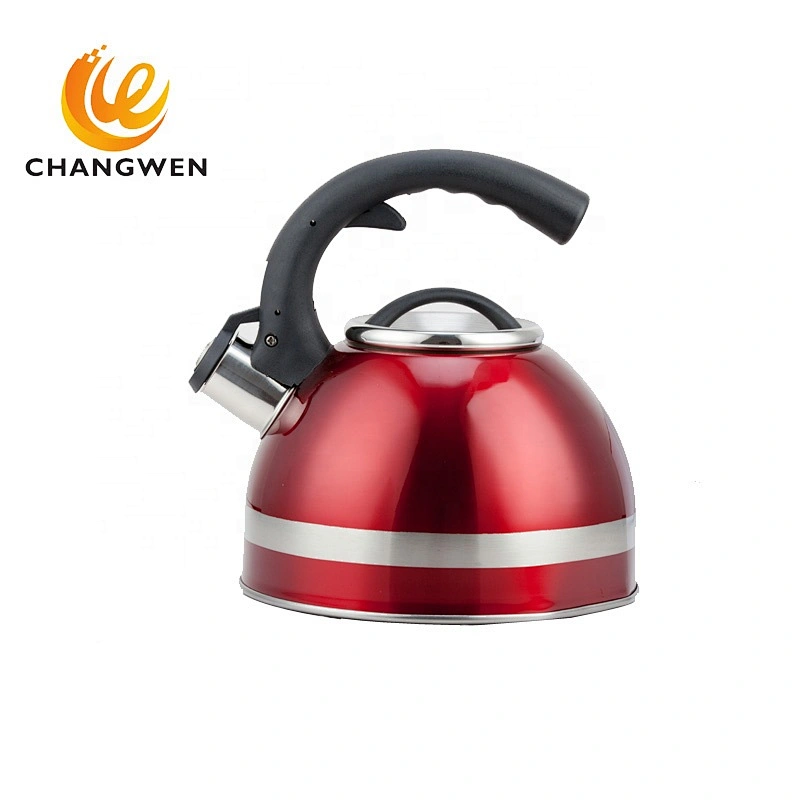 3L colorful print kettle stainless steel for hotel with blue paint