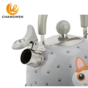 2L  Whistling Kettle Tea Pot Stovetop Induction Stainless Steel Water Kettle With Color Paint