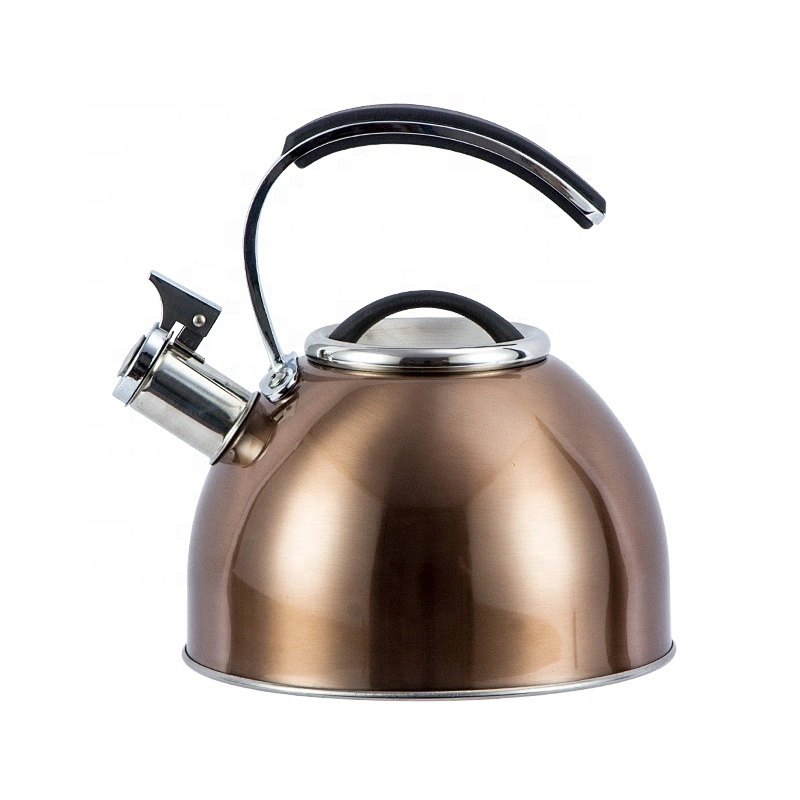 High-temperature paint water kettle stainless steel teapot hot water kettle whistle tea kettle