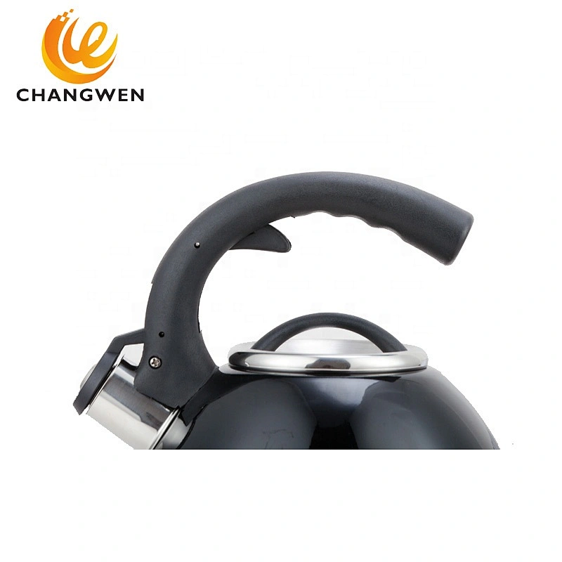 3.0L Induction Cooker Kettle Stainless Steel Outdoor Pot Whistling Kettle For Camping Gas Stove Kettle