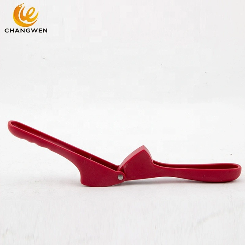 Wholesale kitchenware high quality Kitchen tool plastic handle stainless steel garlic presser