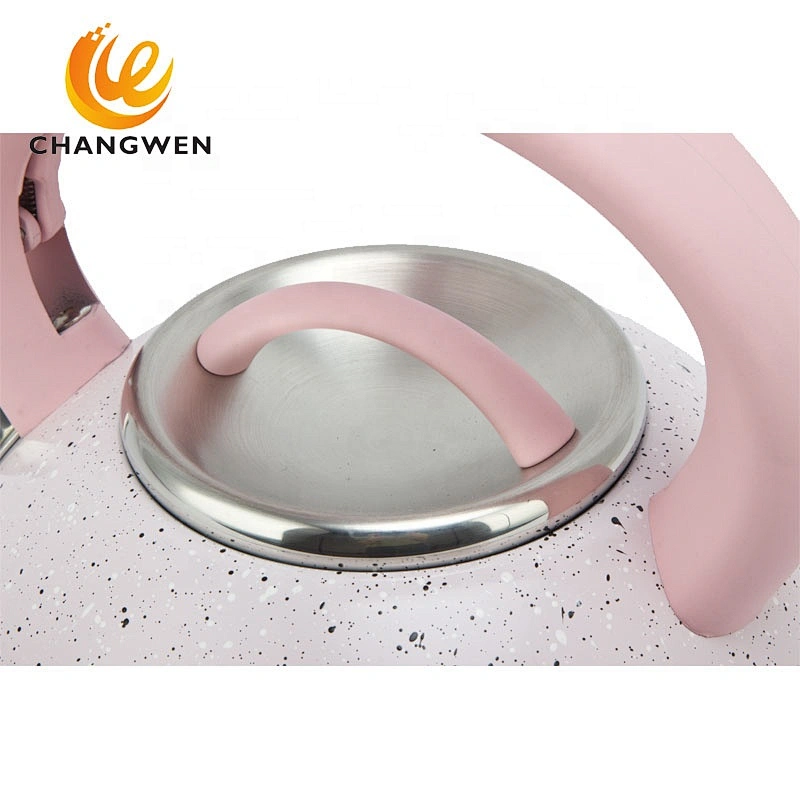 Pink teakettle stainless steel whistling tea kettle
