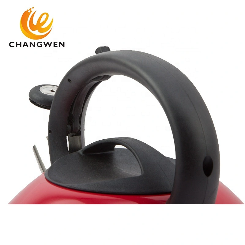 Stainless Steel Cookware Whistling Tea Kettle With Colorful Painting