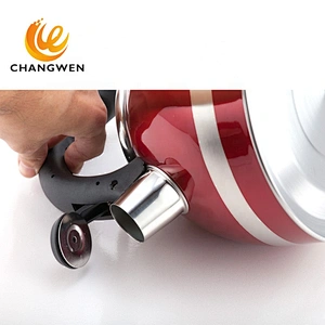 3L colorful print kettle stainless steel for hotel with blue paint