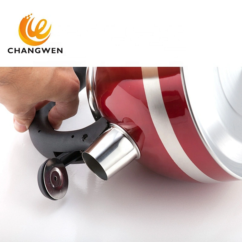 3L colorful print kettle stainless steel for hotel with blue paint