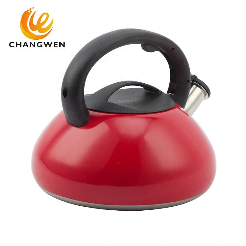 Stainless Steel Cookware Whistling Tea Kettle With Colorful Painting