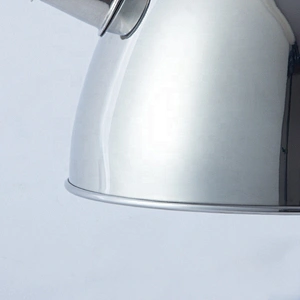 Factory wholesale price cook's tool 3.0L Stainless steel whistling kettle sets for induction cooker