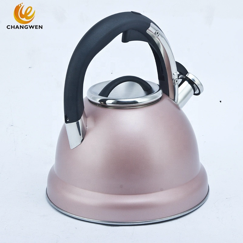 Induction Cooker Whistling Kettle Coffee Tea Pot Stovetop Induction Stainless Steel Water Kettle