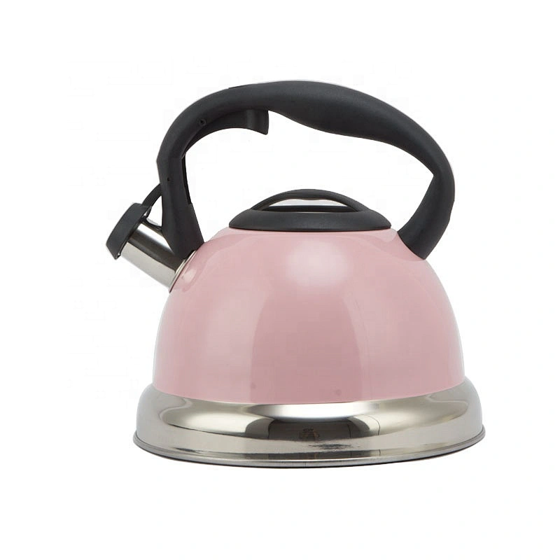 3.0L stainless steel whistle water kettle stainless steel with induction bottom