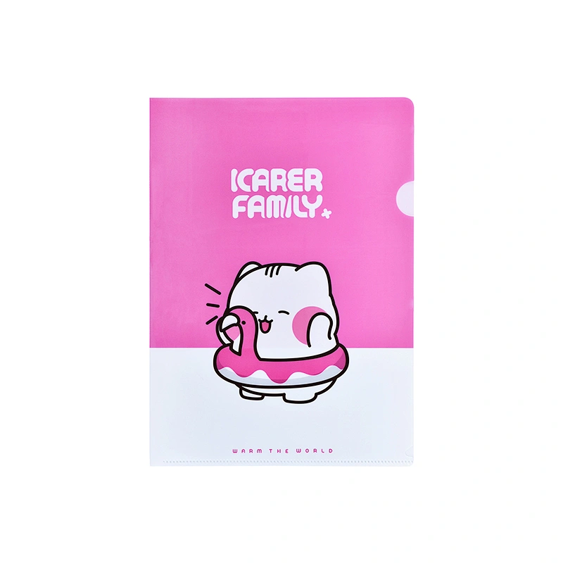 Custom Logo File Folder File Holder Pvc Folder