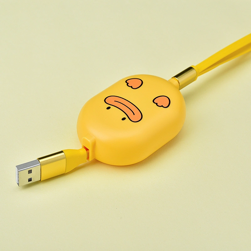 Fast Charging Usb Cell Phone Data Cable 3FT 6FT 10FT Type-C Cable for Samsung cable for Android for  Lightning