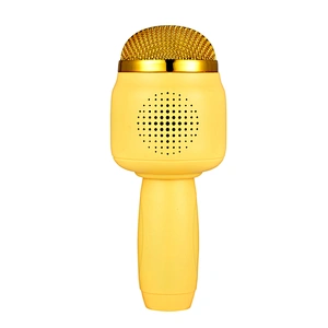 ICARER FAMILY Yes Screen and Battery Power Source Household Hotel Karaoke Microphone with No Screen
