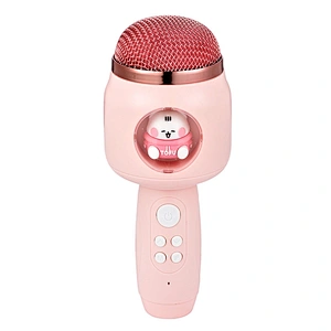 ICARER FAMILY Portable Mini Microphone Speaker Set Best Gift for Kids Sound Speaker with Durable Design