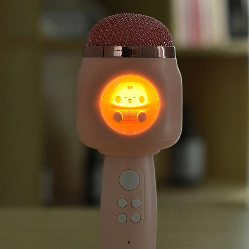 ICARER FAMILY Portable Mini Microphone Speaker Set Best Gift for Kids Sound Speaker with Durable Design