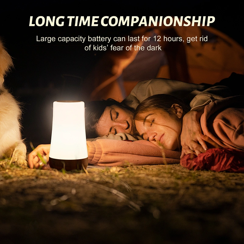 Ambient Light Multi Colorful Night Light Sleeping Night Lamp